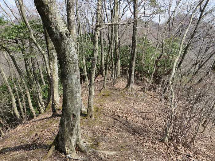 丹波篠山市下筱見/城山・豊林寺城跡写真