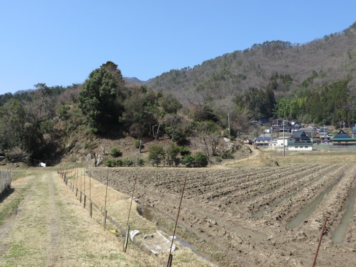 丹波篠山市宮代/丸山公園写真