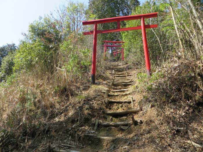 丹波篠山市宮代/神社写真