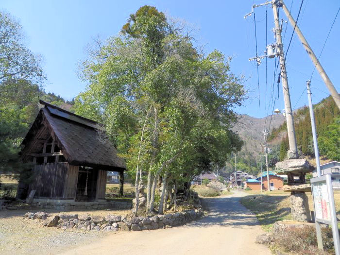 丹波篠山市小倉/椿森神社写真