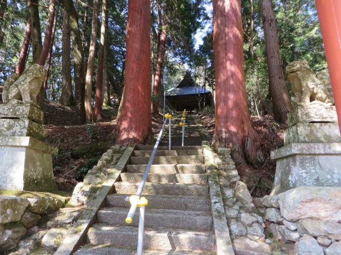 丹波篠山市中/一ノ宮神社写真