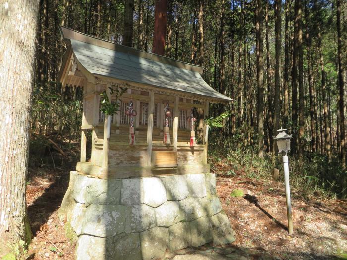 丹波篠山市中/一ノ宮神社写真