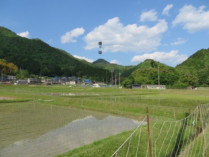 丹波篠山市宮代/櫃ヶ嶽写真