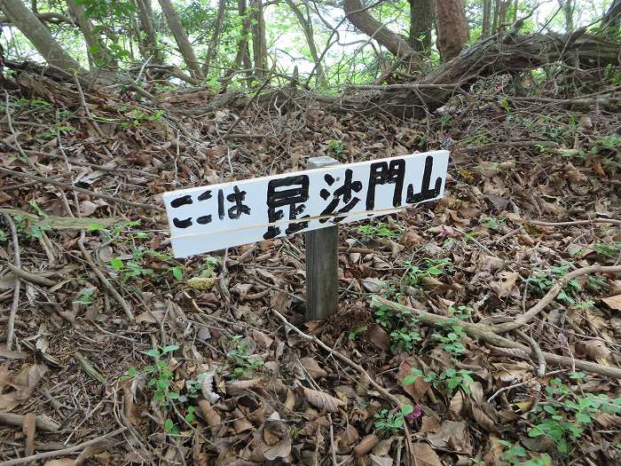 丹波篠山市藤坂/毘沙門山・岩尾峰・雨石山写真