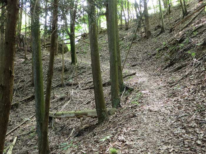 丹波篠山市小倉/仮称小原小倉峠写真