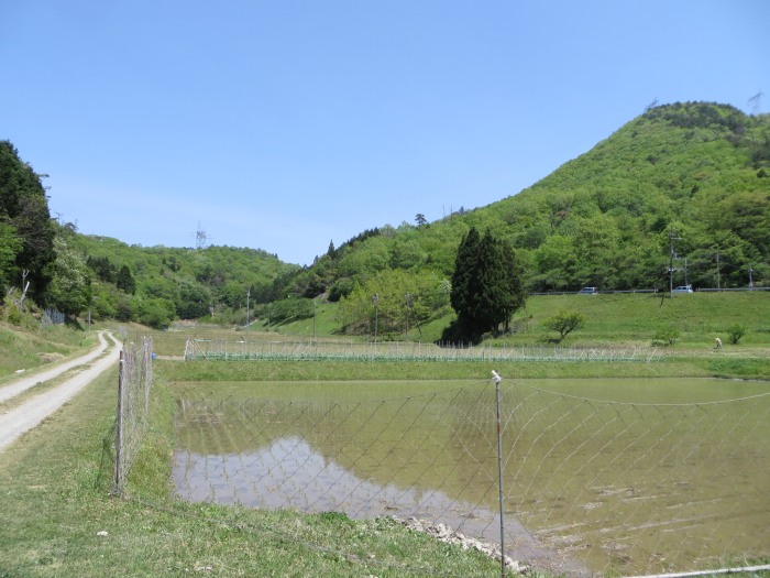 丹波篠山市藤坂/板坂峠写真