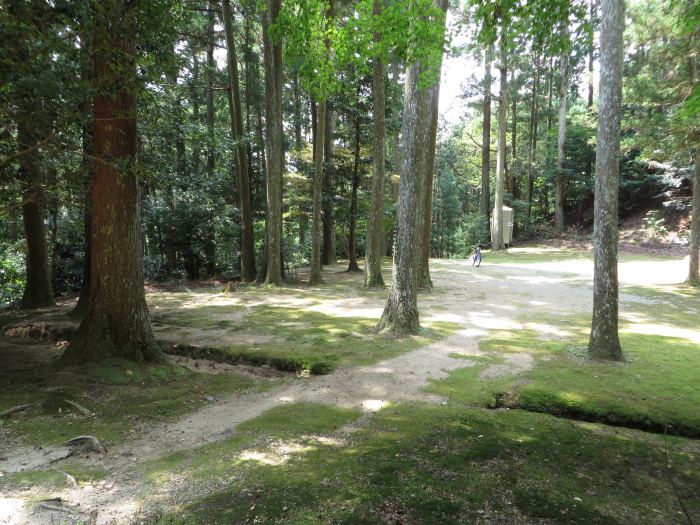 丹波篠山市藤坂/長谷寺妙見堂写真