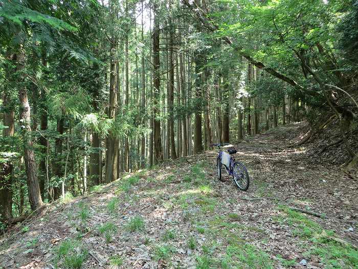 丹波篠山市藤坂/板坂峠写真