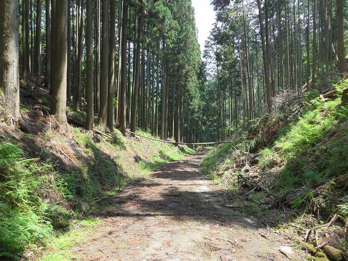 丹波篠山市藤坂/板坂峠写真