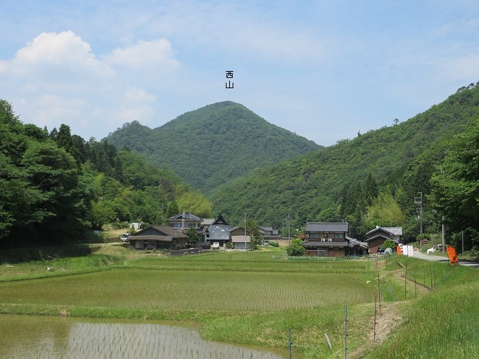 丹波篠山市藤坂/西山写真