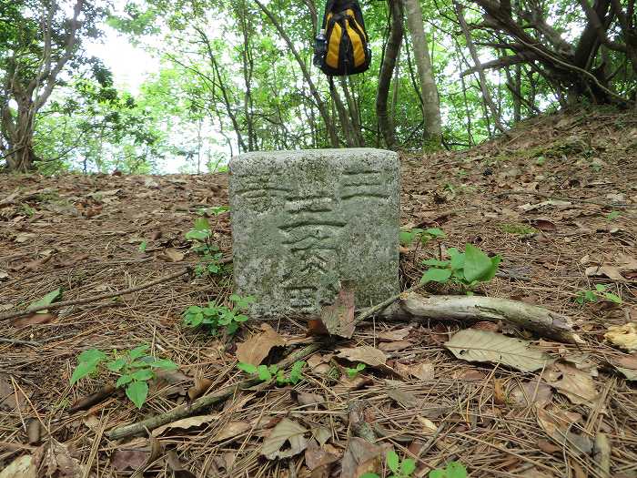 丹波篠山市藤坂/西山写真