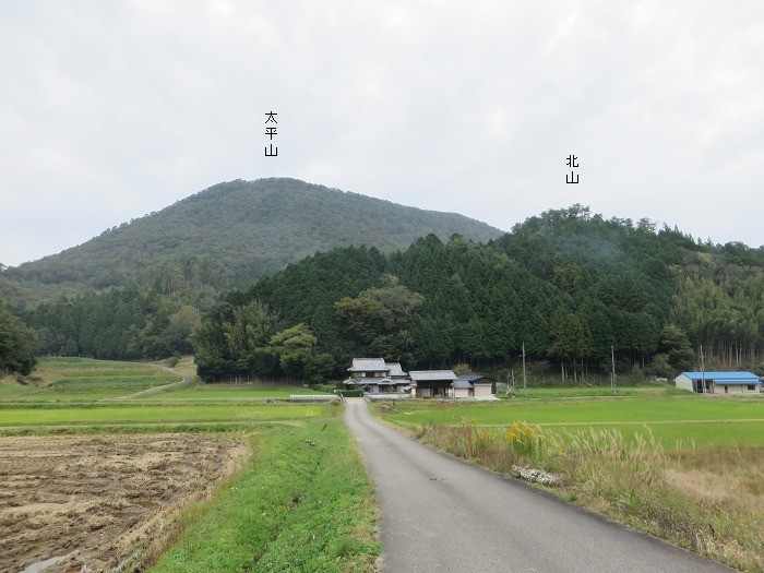 丹波篠山市藤坂/太平山写真