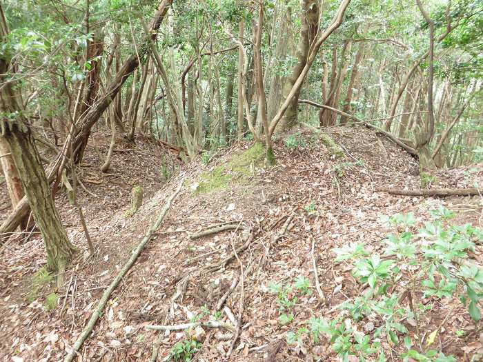 丹波篠山市藤坂/太平山写真