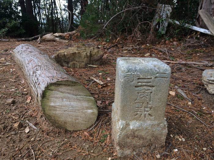 丹波篠山市曽地中/弥十郎ヶ嶽写真