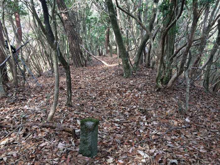 丹波篠山市曽地中/八上山写真