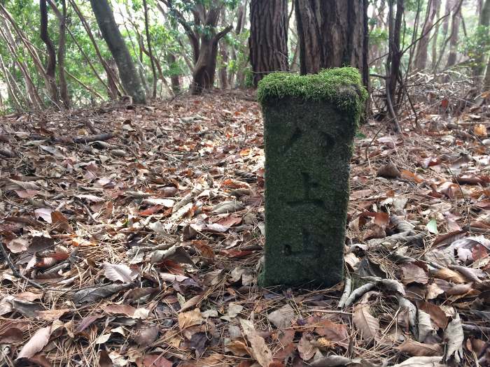 丹波篠山市曽地中/八上山写真