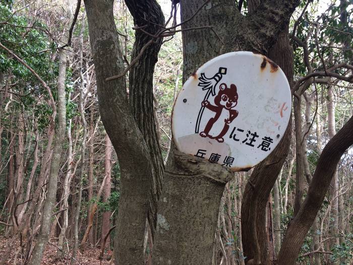 丹波篠山市曽地中/八上山写真