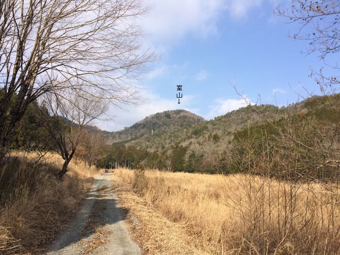 丹波市市島町中竹田/室山