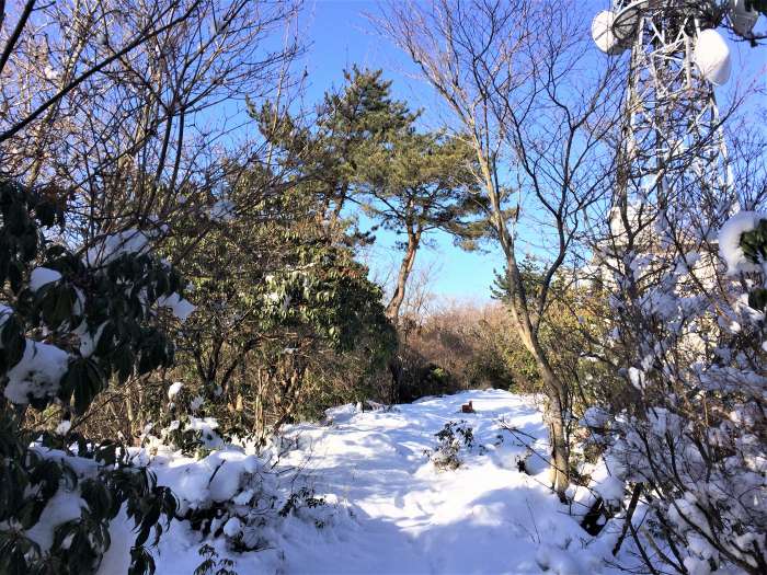 丹波市山南町五ヶ野/篠ヶ峰