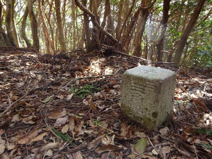 丹波市山南町谷川/テンロク