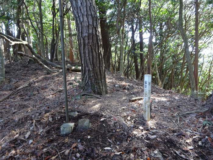 丹波市山南町谷川/テンロク