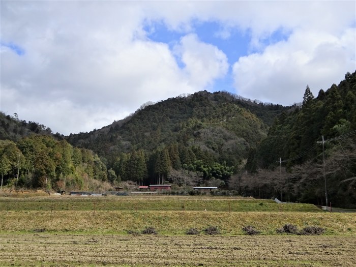 丹波市市島町戸平/虚空蔵山