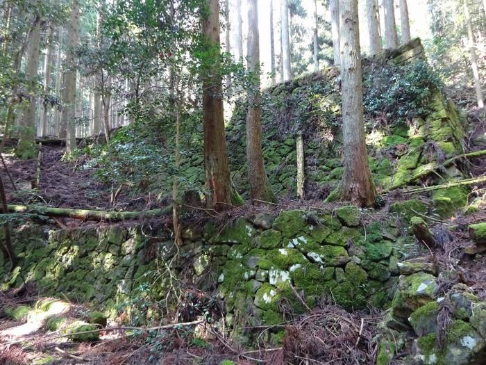 丹波市氷上町常楽/弘浪山高山寺