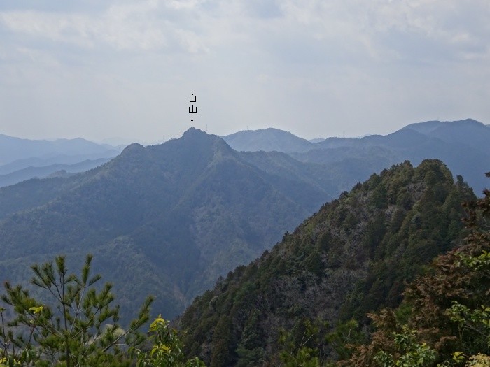 丹波市氷上町新郷/弘浪山