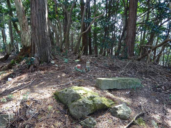 丹波市氷上町新郷/弘浪山