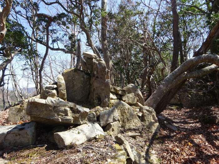 三田市波豆川/行者山