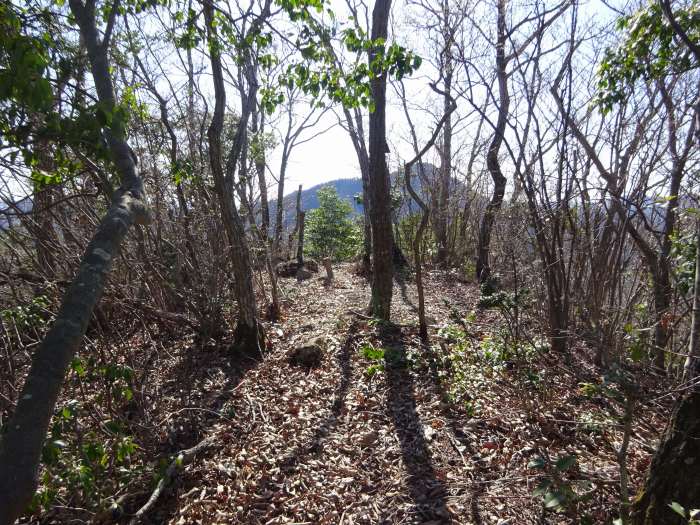 三田市波豆川/鳥飼山