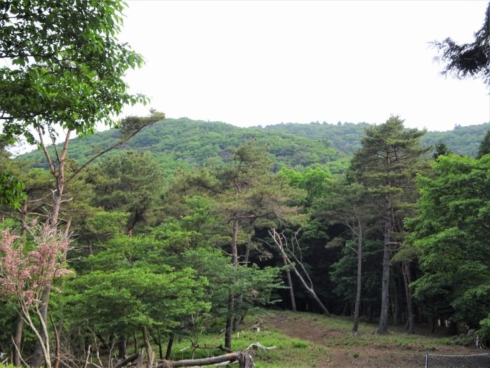 宍粟市波賀町上野/一山