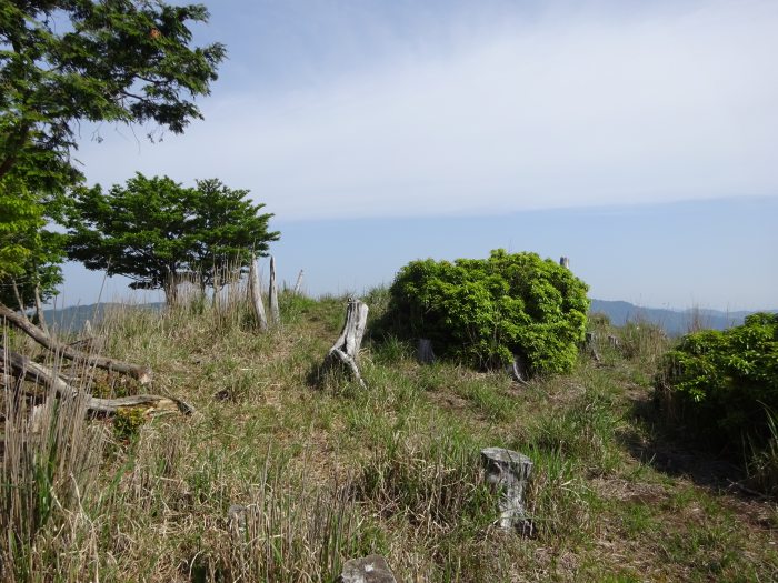 宍粟市波賀町上野/一山