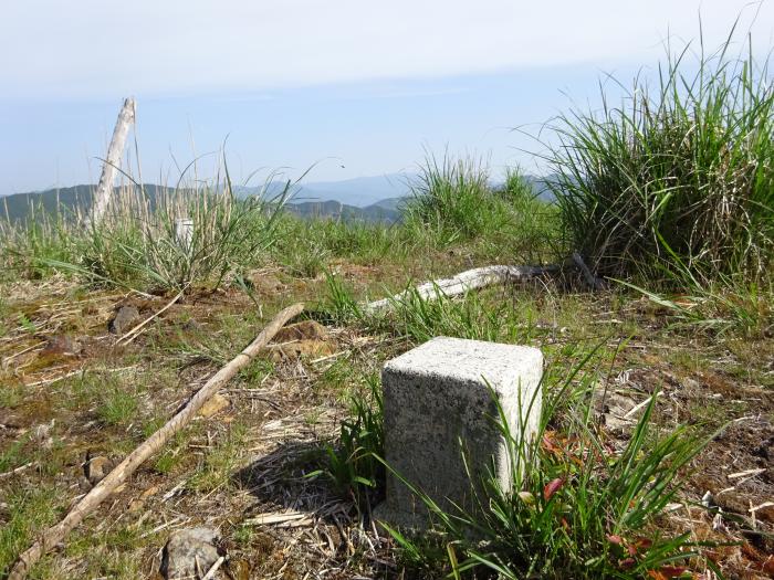 宍粟市波賀町上野/一山