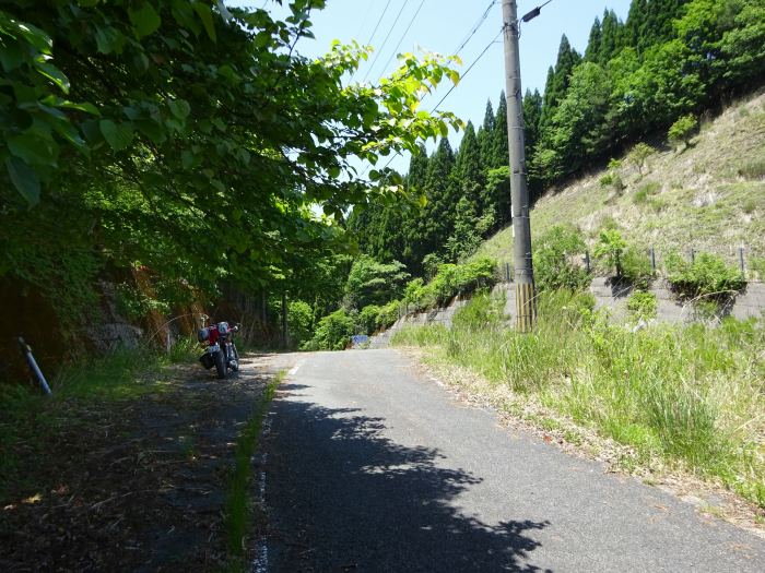 養父市大屋町若杉/若杉峠