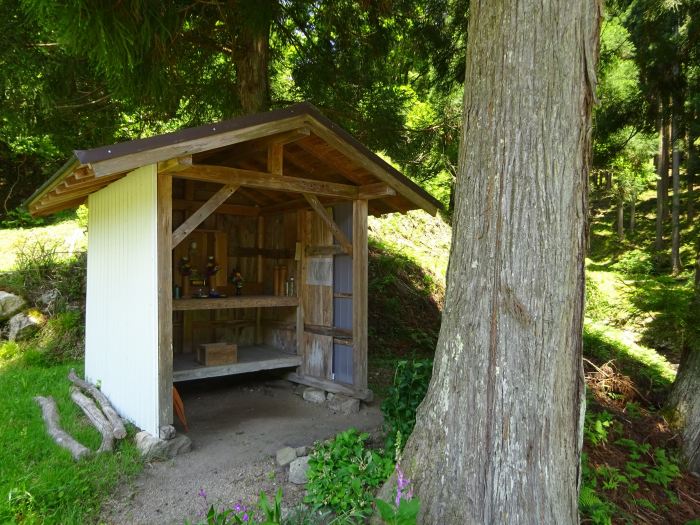 養父市大屋町若杉/若杉峠