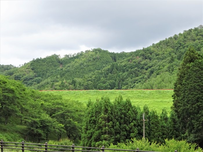 丹波市市島町徳尾/コケズラシ山