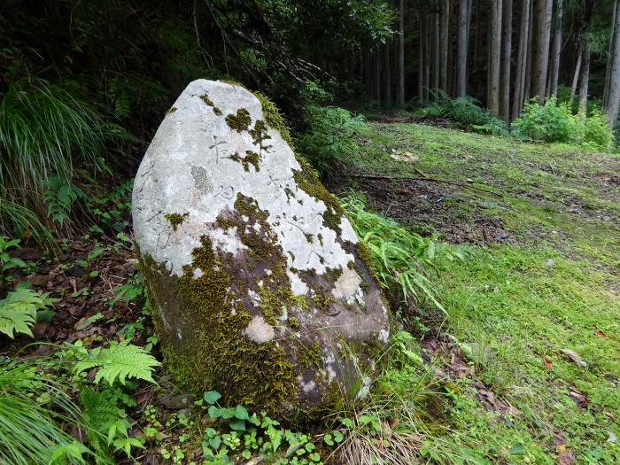 福知山市三和町加用/加用峠