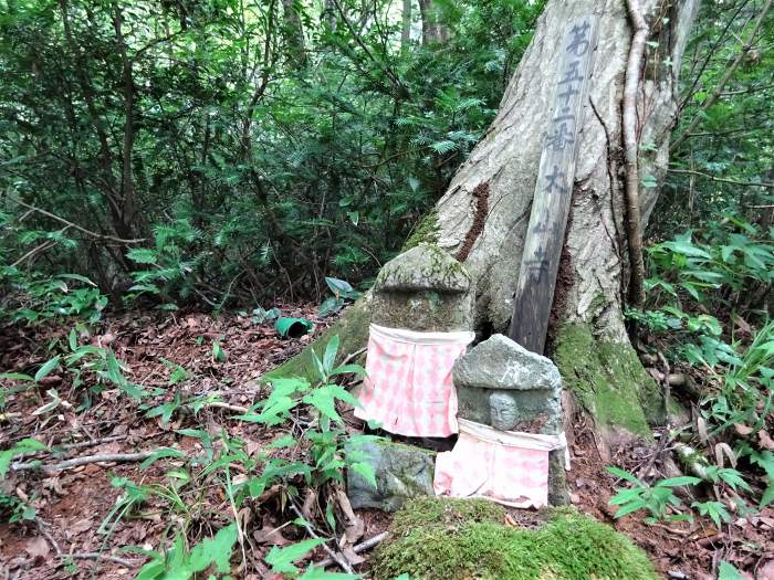 舞鶴市字多祢寺/多祢山