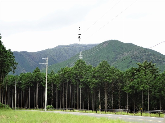 多可郡多可町加美区轟/マタニ山