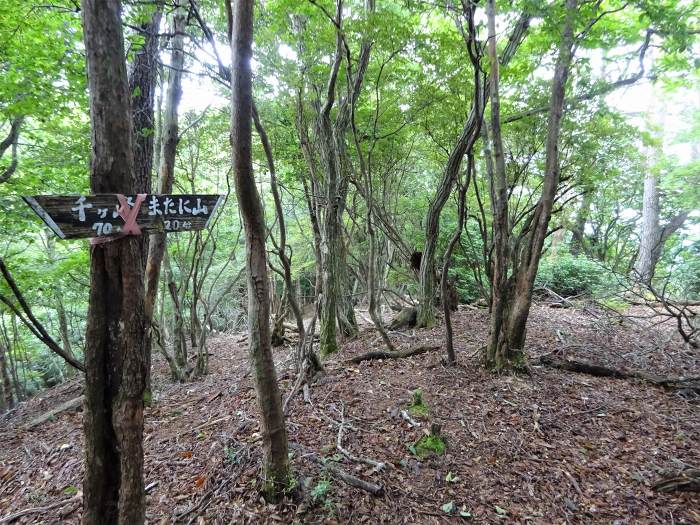 多可郡多可町加美区轟/マタニ山