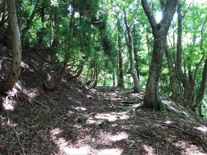 宍粟市波賀町戸倉/戸倉峠