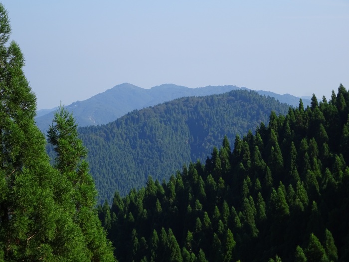 美方郡香美町村岡区村岡/蘓武岳