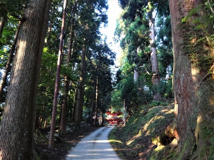 養父市八鹿町日畑/名草神社