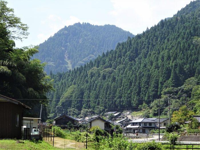 養父市八鹿町日畑/妙見山