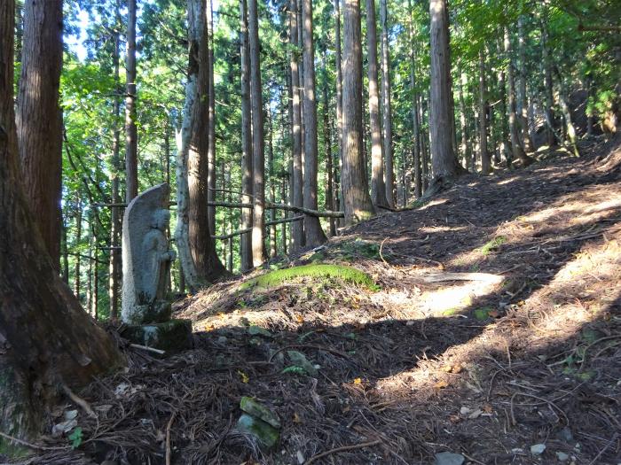 養父市八鹿町日畑/妙見山