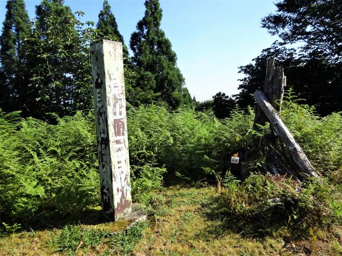 養父市八鹿町日畑/妙見山