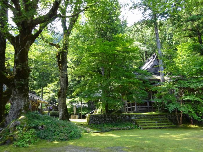 養父市八鹿町石原/妙見山日光院