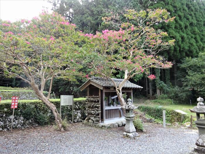 丹波市山南町山本/山本薬師堂