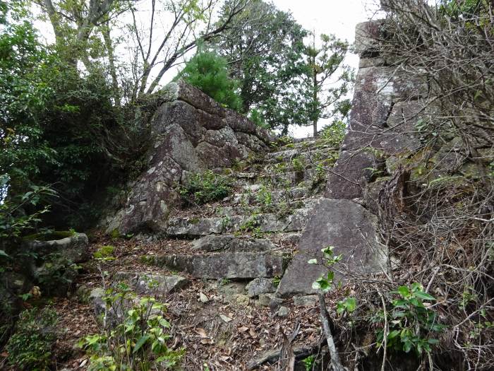 丹波市氷上町谷村/白山